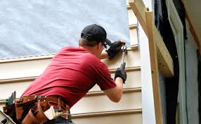 Best Storm Damage Siding Repair  in Rome, IL